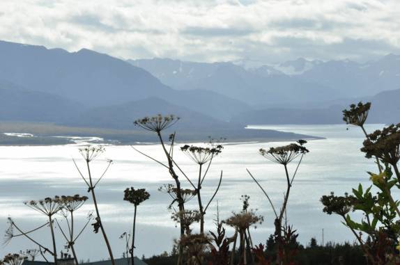 A belíssima região de Homer, na Península do Kenai, no sul do Alaska